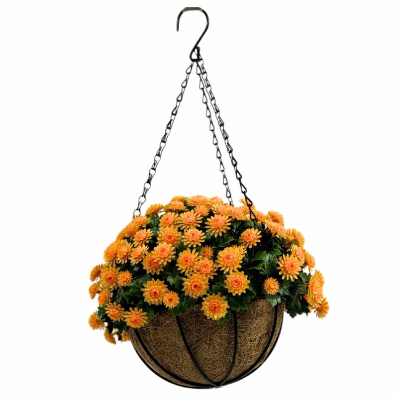 Fall Floral & Crafts |   Orange Mum Flowers Hanging Basket Fall Floral & Crafts Fall Floral & Crafts