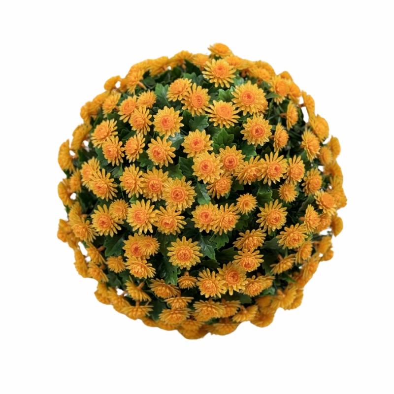 Fall Floral & Crafts |   12" Orange Mum Topiary Ball Fall Floral & Crafts Fall Floral & Crafts