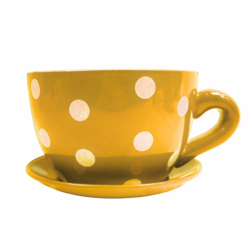 Pots And Planters |   Blossom Planter With Saucer – Polka Dot – Yellow Lawn & Garden Pots And Planters