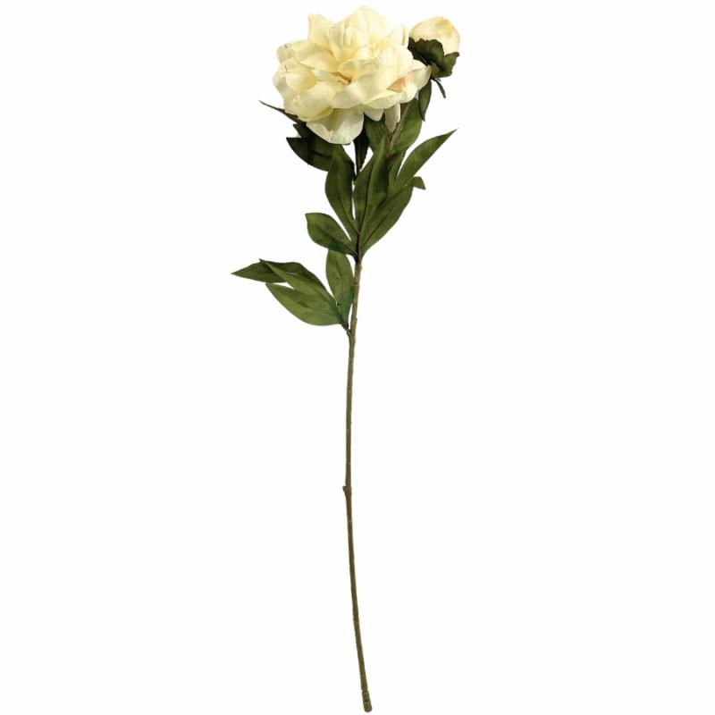 Stems, Bushes, Picks & Garlands |   26" Dried Peony Spray – Cream Fall Floral & Crafts Fall Floral & Crafts