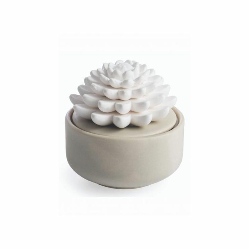 Warmers & Diffusers |   Porcelain Essential Oil Diffuser- Succulent Candles & Fragrance Warmers & Diffusers