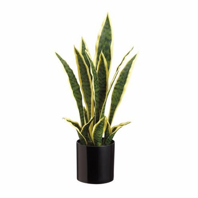 Wreaths, Arrangements & Trees |   19" Sansevieria Snake Plant In Pot Floral Wreaths, Arrangements & Trees