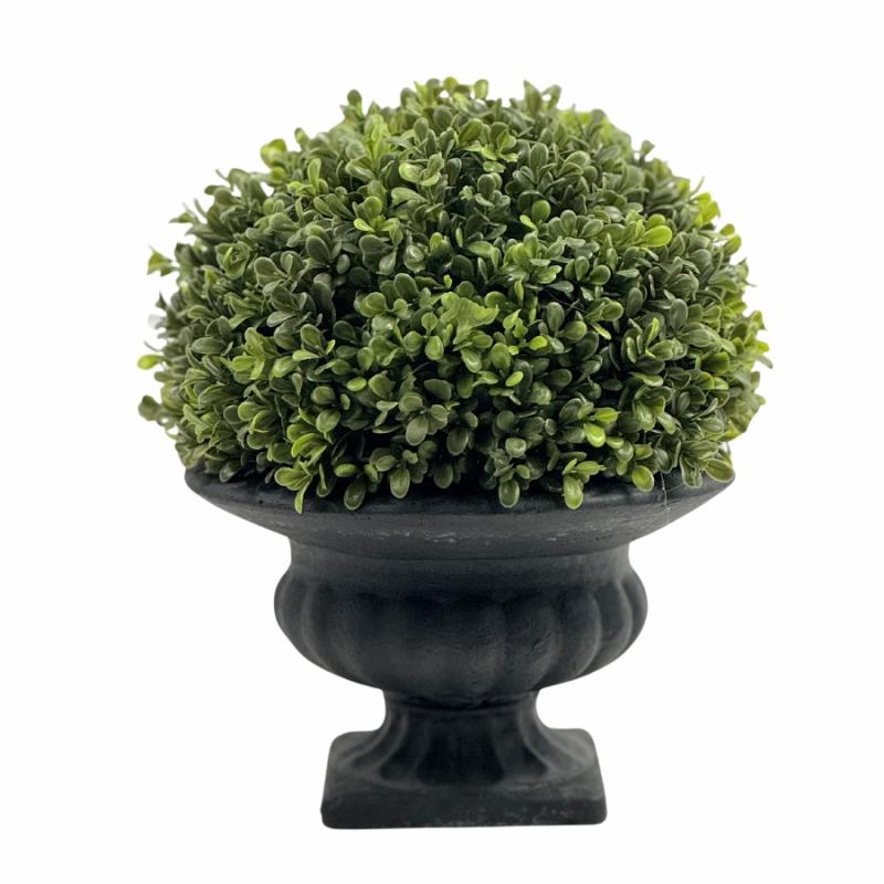 Wreaths, Arrangements & Trees |   Boxwood Bush In Ceramic Planter Floral Wreaths, Arrangements & Trees